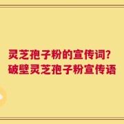 灵芝孢子粉的宣传词？破壁灵芝孢子粉宣传语