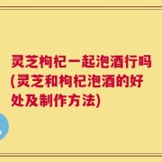 灵芝枸杞一起泡酒行吗(灵芝和枸杞泡酒的好处及制作方法)