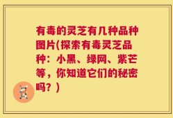 有毒的灵芝有几种品种图片(探索有毒灵芝品种：小黑、绿网、紫芒等，你知道它们的秘密吗？)