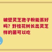 破壁灵芝孢子粉能蒸好吗？野桂花树长出灵芝样的菌可以吃