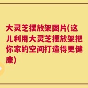 大灵芝摆放架图片(这儿利用大灵芝摆放架把你家的空间打造得更健康)
