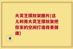 大灵芝摆放架图片(这儿利用大灵芝摆放架把你家的空间打造得更健康)