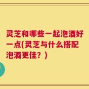 灵芝和哪些一起泡酒好一点(灵芝与什么搭配泡酒更佳？)