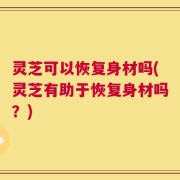 灵芝可以恢复身材吗(灵芝有助于恢复身材吗？)