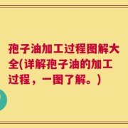 孢子油加工过程图解大全(详解孢子油的加工过程，一图了解。)
