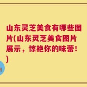 山东灵芝美食有哪些图片(山东灵芝美食图片展示，惊艳你的味蕾！)