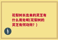 花梨树长出来的灵芝有什么用处呢(花梨树的灵芝有何功效？)