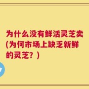 为什么没有鲜活灵芝卖(为何市场上缺乏新鲜的灵芝？)