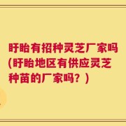 盱眙有招种灵芝厂家吗(盱眙地区有供应灵芝种苗的厂家吗？)