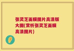 张灵芝面膜图片高清版大图(赏析张灵芝面膜高清图片)