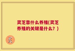 灵芝靠什么养殖(灵芝养殖的关键是什么？)