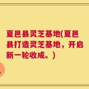 夏邑县灵芝基地(夏邑县打造灵芝基地，开启新一轮收成。)