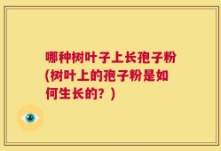 哪种树叶子上长孢子粉(树叶上的孢子粉是如何生长的？)