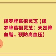 保罗牌葛根灵芝 (保罗牌葛根灵芝：天然降血脂，预防高血压)