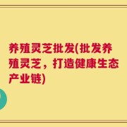 养殖灵芝批发(批发养殖灵芝，打造健康生态产业链)