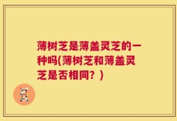 薄树芝是薄盖灵芝的一种吗(薄树芝和薄盖灵芝是否相同？)