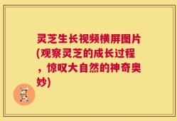 灵芝生长视频横屏图片(观察灵芝的成长过程，惊叹大自然的神奇奥妙)