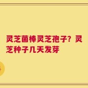 灵芝菌棒灵芝孢子？灵芝种子几天发芽