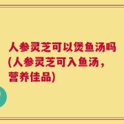 人参灵芝可以煲鱼汤吗(人参灵芝可入鱼汤，营养佳品)