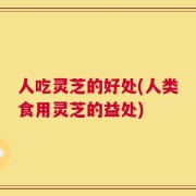 人吃灵芝的好处(人类食用灵芝的益处)