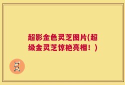 超影金色灵芝图片(超级金灵芝惊艳亮相！)