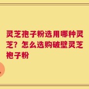 灵芝孢子粉选用哪种灵芝？怎么选购破壁灵芝袍子粉