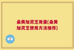 桑黄加灵芝用量(桑黄加灵芝使用方法推荐)
