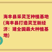海丰县采灵芝种植基地(海丰县打造灵芝新经济：建全国最大种植基地)