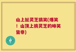 山上扯灵芝搞笑(爆笑！山顶上摘灵芝的啼笑皆非)