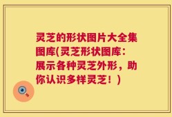 灵芝的形状图片大全集图库(灵芝形状图库：展示各种灵芝外形，助你认识多样灵芝！)