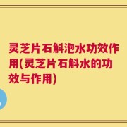 灵芝片石斛泡水功效作用(灵芝片石斛水的功效与作用)