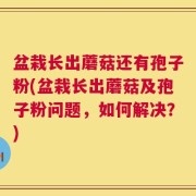 盆栽长出蘑菇还有孢子粉(盆栽长出蘑菇及孢子粉问题，如何解决？)