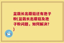 盆栽长出蘑菇还有孢子粉(盆栽长出蘑菇及孢子粉问题，如何解决？)