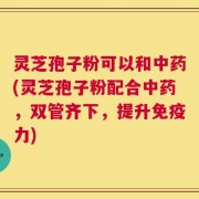 灵芝孢子粉可以和中药(灵芝孢子粉配合中药，双管齐下，提升免疫力)