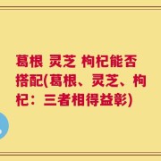 葛根 灵芝 枸杞能否搭配(葛根、灵芝、枸杞：三者相得益彰)
