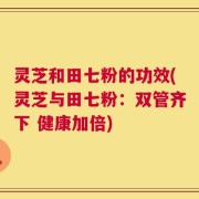 灵芝和田七粉的功效(灵芝与田七粉：双管齐下 健康加倍)