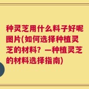 种灵芝用什么料子好呢图片(如何选择种植灵芝的材料？—种植灵芝的材料选择指南)