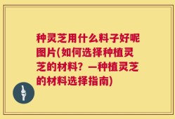 种灵芝用什么料子好呢图片(如何选择种植灵芝的材料？—种植灵芝的材料选择指南)