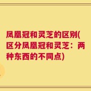 凤凰冠和灵芝的区别(区分凤凰冠和灵芝：两种东西的不同点)
