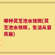 哪种灵芝泡水祛斑(灵芝泡水祛斑，生活从容亮丽)