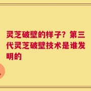 灵芝破壁的样子？第三代灵芝破壁技术是谁发明的