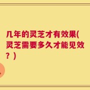 几年的灵芝才有效果(灵芝需要多久才能见效？)