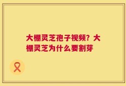 大棚灵芝孢子视频？大棚灵芝为什么要割芽