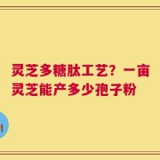 灵芝多糖肽工艺？一亩灵芝能产多少孢子粉