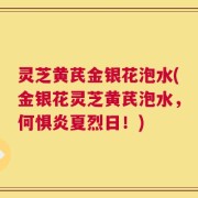 灵芝黄芪金银花泡水(金银花灵芝黄芪泡水，何惧炎夏烈日！)