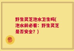 野生灵芝泡水卫生吗(泡水前必看：野生灵芝是否安全？)
