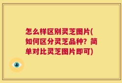 怎么样区别灵芝图片(如何区分灵芝品种？简单对比灵芝图片即可)