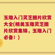 玉雕入门灵芝图片欣赏大全(精美玉雕灵芝图片欣赏集锦，玉雕入门必备！)