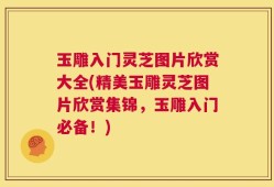 玉雕入门灵芝图片欣赏大全(精美玉雕灵芝图片欣赏集锦，玉雕入门必备！)