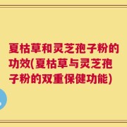 夏枯草和灵芝孢子粉的功效(夏枯草与灵芝孢子粉的双重保健功能)
